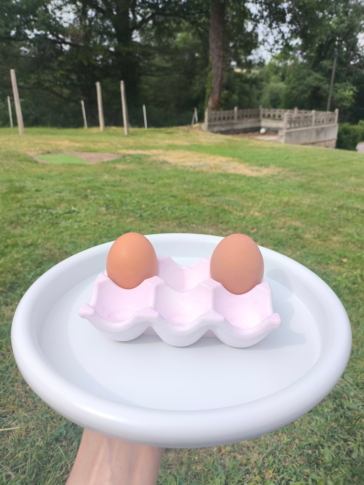 Support oeuf en plâtre durable