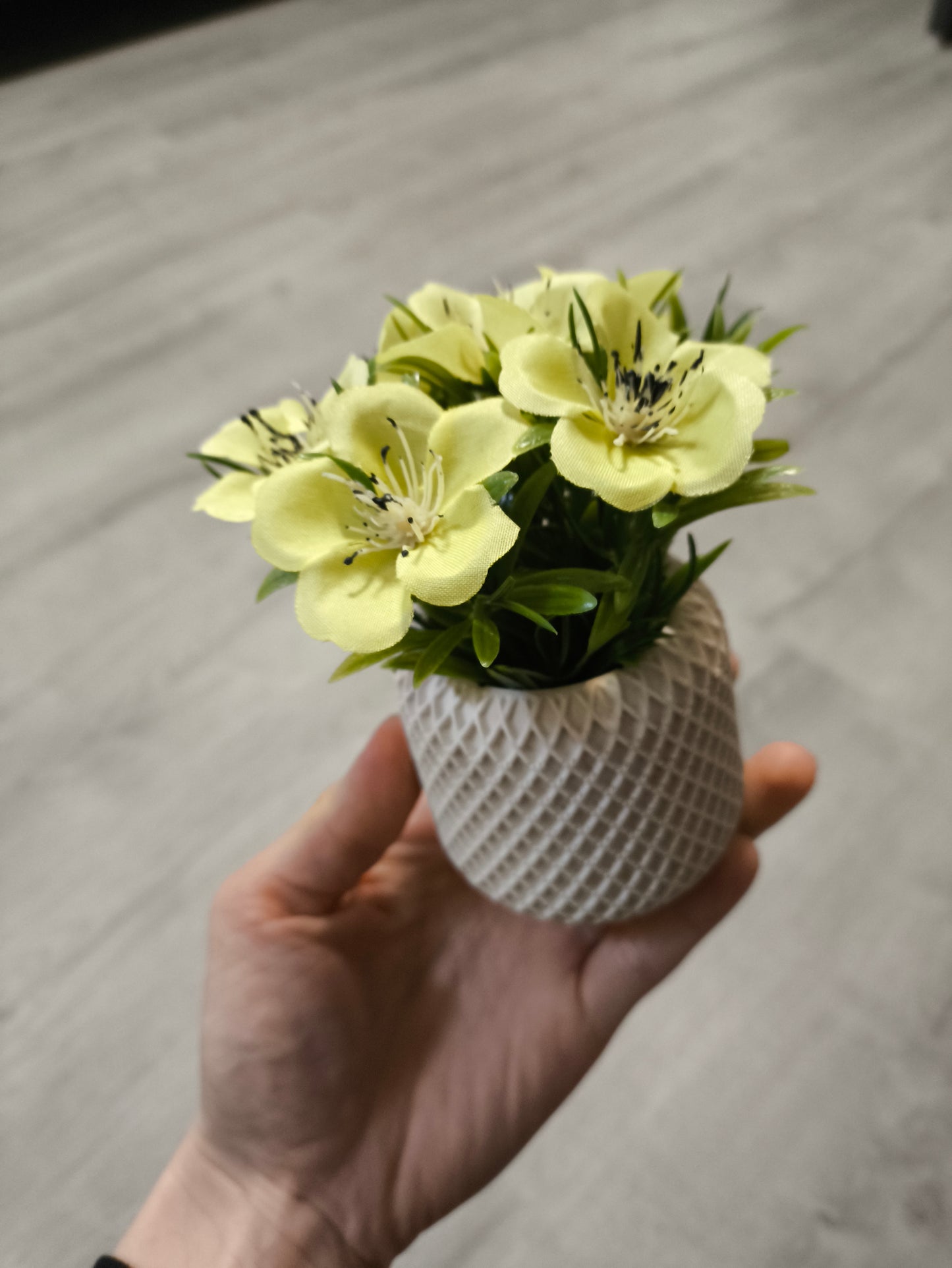 Pot en jesmonite avec sa Fleur offerte - L'art à part