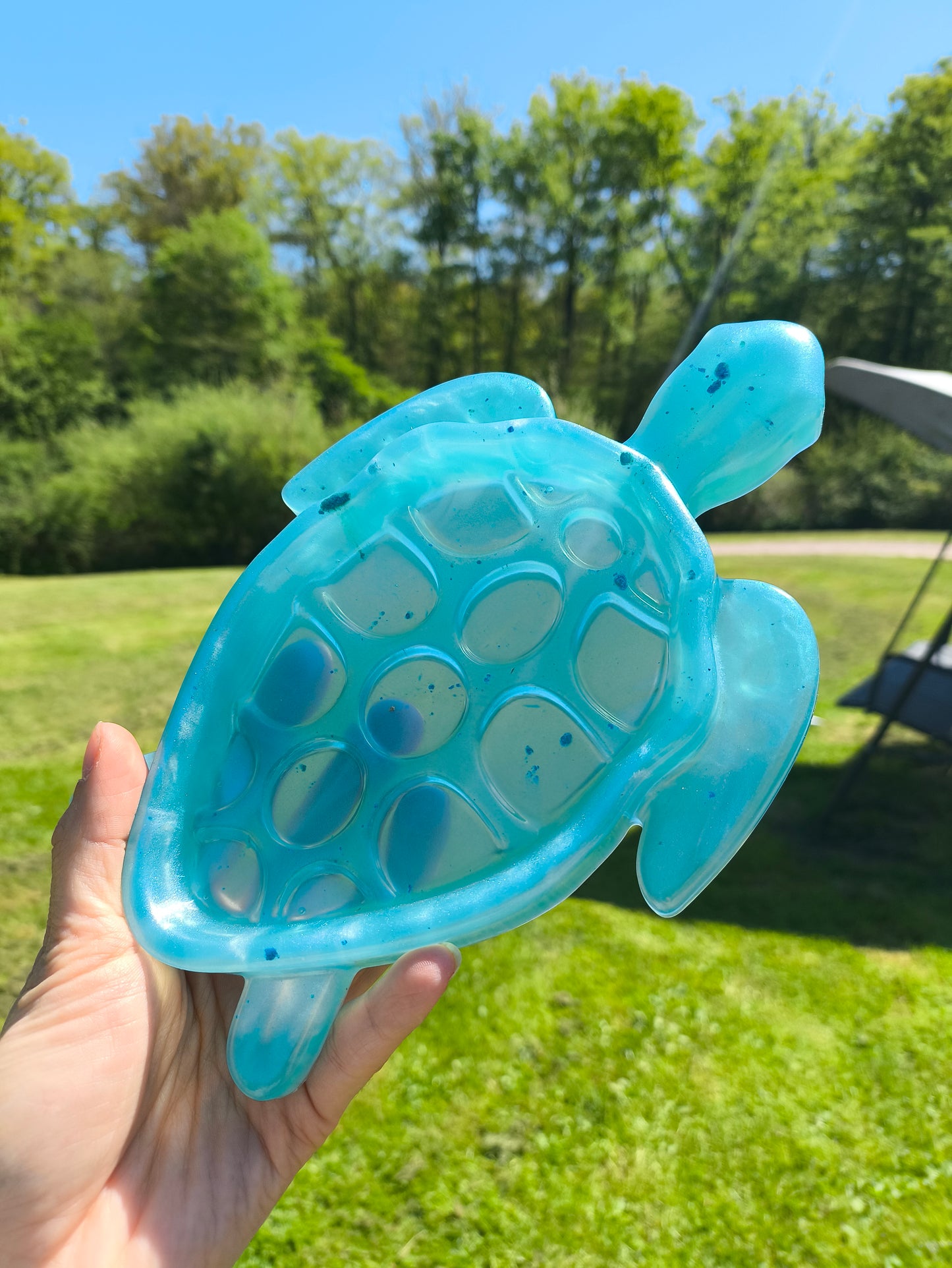 Décoration tortue unique - L'art à part