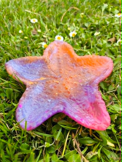Etoile de mer galactique en résine époxy. Création artisanale unique